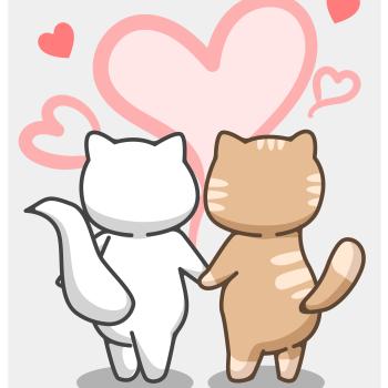 Portée Umia ❤ Wilson 2025