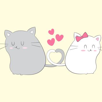 Portée Uvéa ❤ Wilson 2026